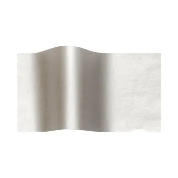 METRON ART ΧΑΡΤΟΝΙ ΔΙΠΛΗΣ ΟΨΗΣ 50x70cm 250gsm ΑΣΗΜΙ ΜΕΤΑΛΛΙΚΟ 10 ΤΕΜΑΧΙΑ (Το προιόν πωλείται σε μεμονωμένα τεμάχια του ενός)
