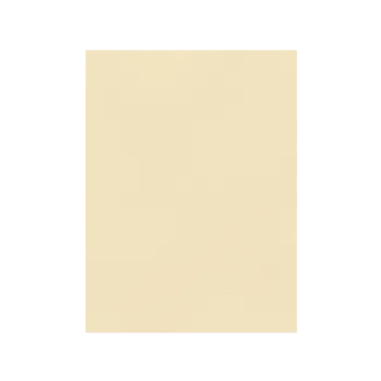 FAVINI ΧΑΡΤΟΝΙ 50x70cm 220gr ΚΡΕΜ Νο04