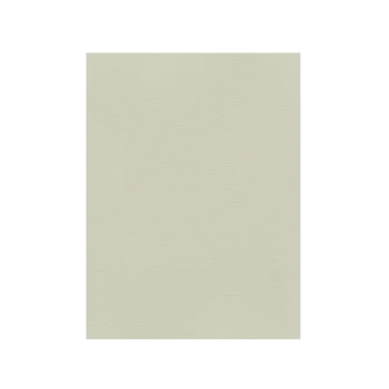 FAVINI ΧΑΡΤΟΝΙ 50x70cm 220gr ΓΚΡΙ Νο06