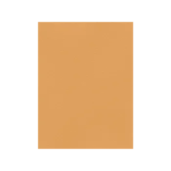 FAVINI ΧΑΡΤΟΝΙ 50x70cm 220gr TABACCO Νο12