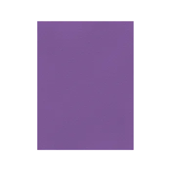 FAVINI ΧΑΡΤΟΝΙ 50x70cm 220gr ΒΙΟΛΕΤΙ Νο19