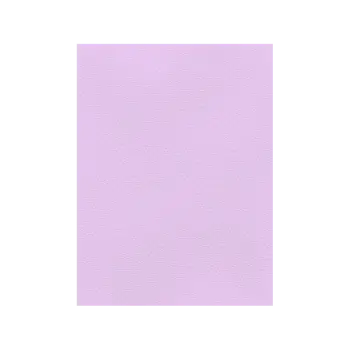 FAVINI ΧΑΡΤΟΝΙ 50x70cm 220gr ΛΙΛΑ Νο24