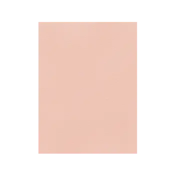 FAVINI ΧΑΡΤΟΝΙ 50x70cm 220gr ΡΟΖ ΣΟΛΩΜΟΥ Νο25