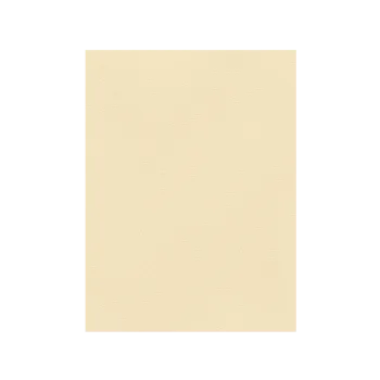 FAVINI ΧΑΡΤΟΝΙ 70x100cm 220gr ΚΡΕΜ Νο04