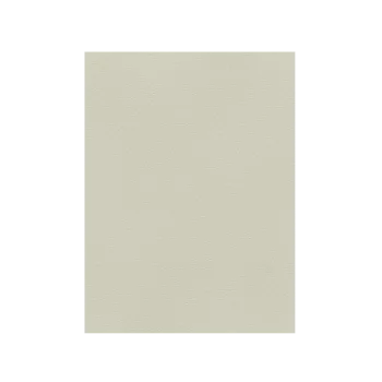 FAVINI ΧΑΡΤΟΝΙ 70x100cm 220gr ΓΚΡΙ Νο06