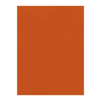 FAVINI ΧΑΡΤΟΝΙ 70x100cm 220gr ΠΟΡΤΟΚΑΛΙ Νο09