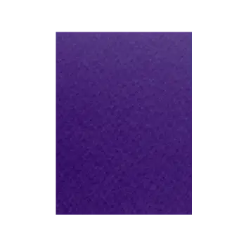 FAVINI ΧΑΡΤΟΝΙ 70x100cm 220gsm ΒΙΟΛΕΤΙ Νο19