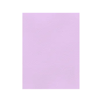 FAVINI ΧΑΡΤΟΝΙ 70x100cm 220gr ΛΙΛΑ Νο24