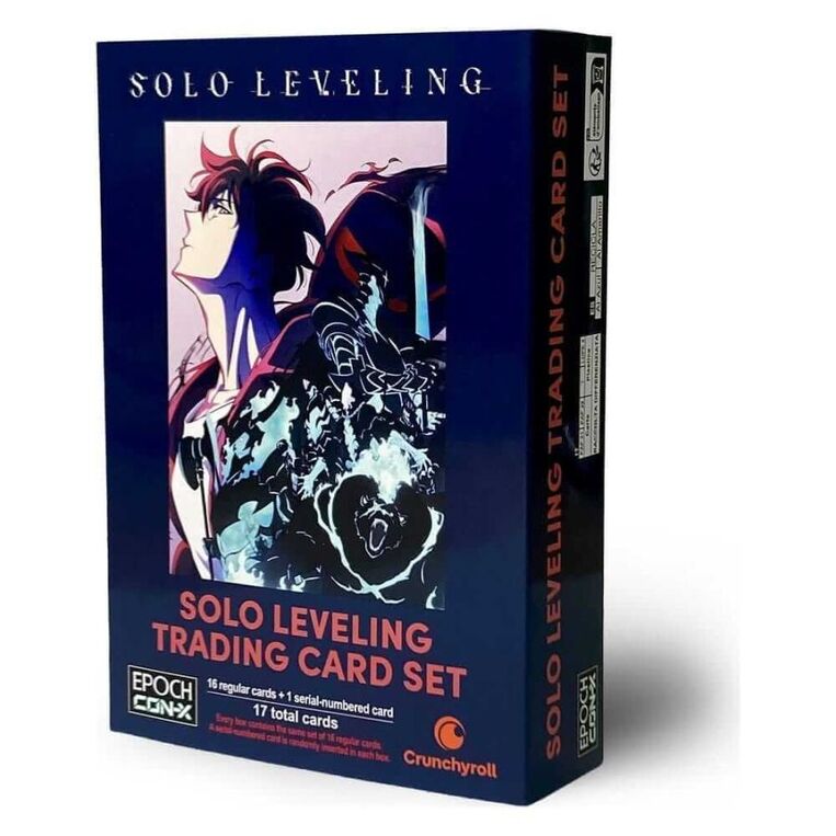 CON-X SOLO LEVELING