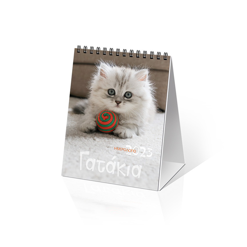 ΗΜΕΡ. ΕΠΙΤΡ. 2023, 12X17 ΕΚ.: ΓΑΤΑΚΙΑ