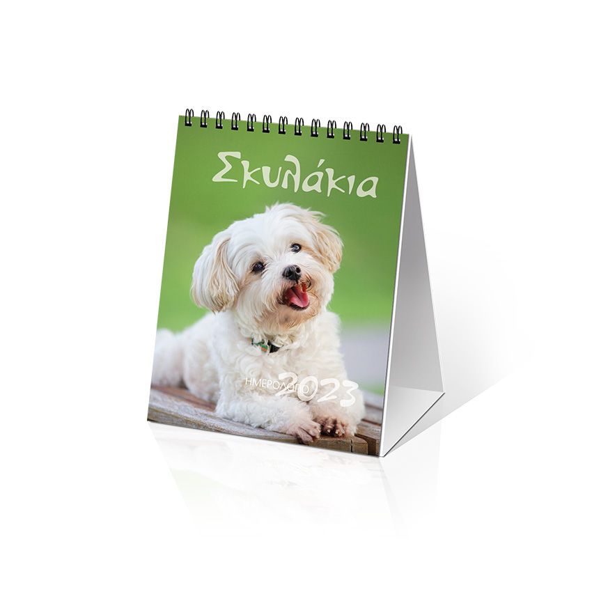 ΗΜΕΡ. ΕΠΙΤΡ. 2023, 12X17 ΕΚ.: ΣΚΥΛΑΚΙΑ