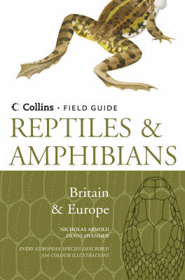 REPTILES & AMPHIBIANS BRITAIN & EUROPE HC COFFEE TABLE BK.  COFFEE TABLE BK