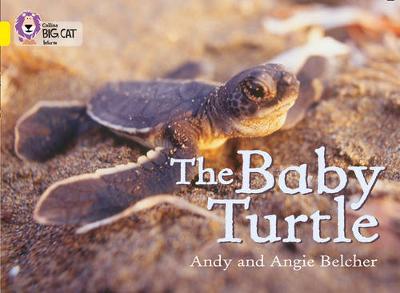 COLLINS BIG CAT : THE BABY TURTLE BAND 03/YELLOW PB COLLINS BIG CAT : THE BABY TURTLE BAND 03/YELLOW PB
