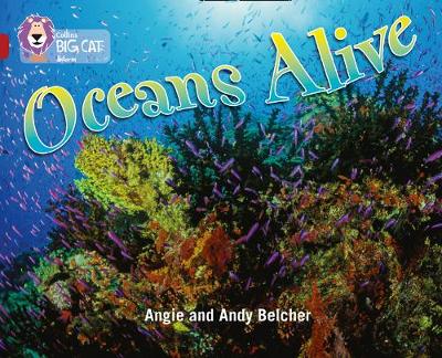 COLLINS BIG CAT : OCEANS ALIVE BAND 14/RUBY PHASE 5, BK. 18 PB