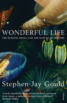 WONDERFUL LIFE PB