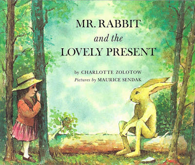 MR RABBIT AND THE LOVELY PRESENT  PB