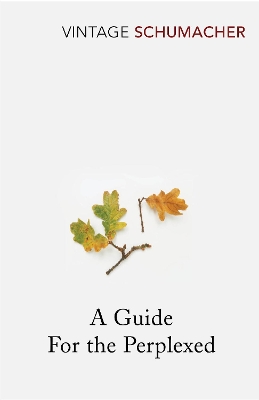 A GUIDE FOR THE PERPLEXED A GUIDE FOR THE PERPLEXED