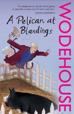 A PELICAN AT BLANDINGS PB