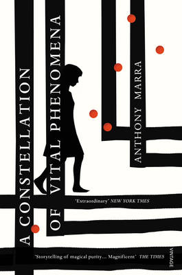 A CONSTELLATION OF VITAL PHENOMENA PB