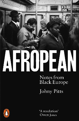 Afropean : Notes from Black Europe
