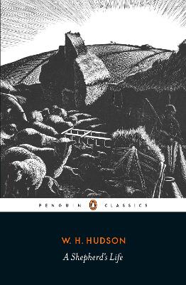 A SHEPHERD'S LIFE PB