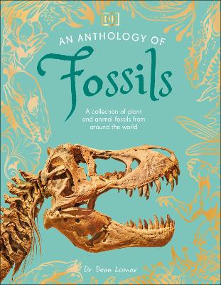 An Anthology of Fossils : A Collection of Plant and Animal Fossils From Around the World