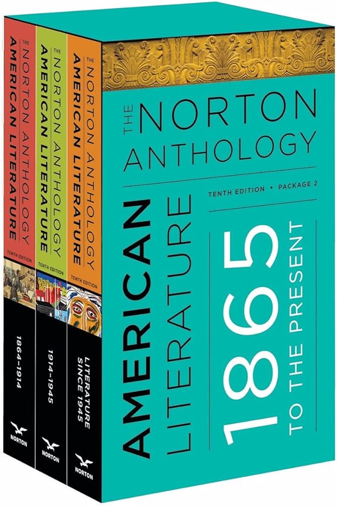 THE NORTON ANTHOLOGY OF AMERICAN LITERATURE vol C, D, E 10TH ED PB