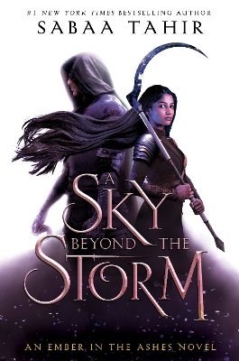 A SKY BEYOND THE STORM : 4