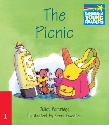 CSB 1: THE PICNIC PB