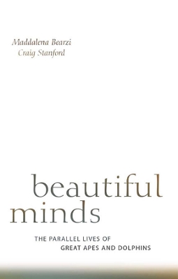 BEAUTIFUL MINDS  PB