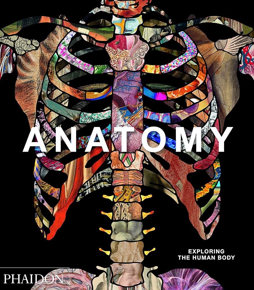 ANATOMY: EXPLORING THE HUMAN BODY HC