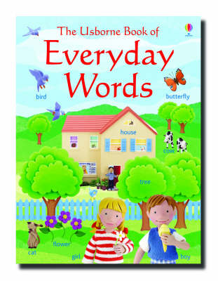 THE USBORNE BOOK OF EVERYDAY WORDS  PB