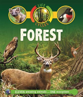 LIFE CYCLES: FOREST