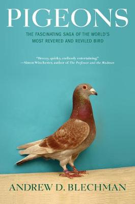 PIGEONS  PB