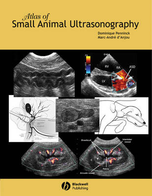 ATLAS OF SMALL ANIMAL ULTRASONOGRAPHY 1ST ED HC
