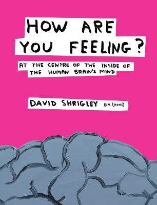 How Are You Feeling? : At the Centre of the Inside of The Human Brain’s Mind