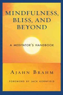 MINDFULNESS BLISS AND BEYOND PB