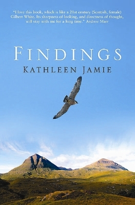 Findings PB