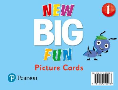NEW BIG FUN 1 PICTURE CARDS