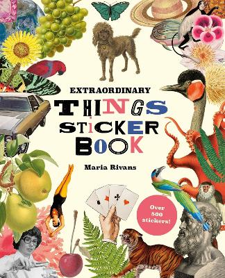 EXTRAORDINARY THINGS STICKER BOOK HC