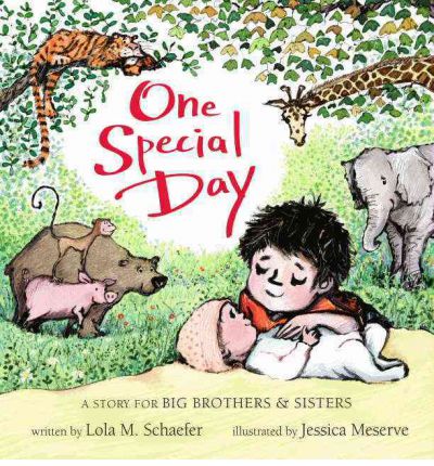 ONE SPECIAL DAY: A STORY FOR BIG BROTHERS & SISTERS  HC