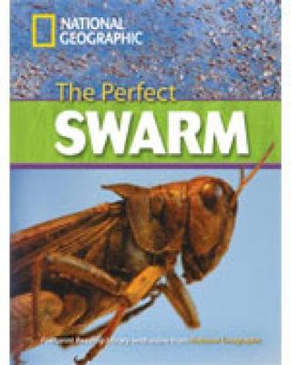 FRL 8: PERFECT SWARM C1 (+ DVD)