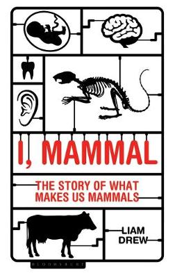 I,MAMMAL : THE STORY OF WHAT MAKES US MAMMALS HC