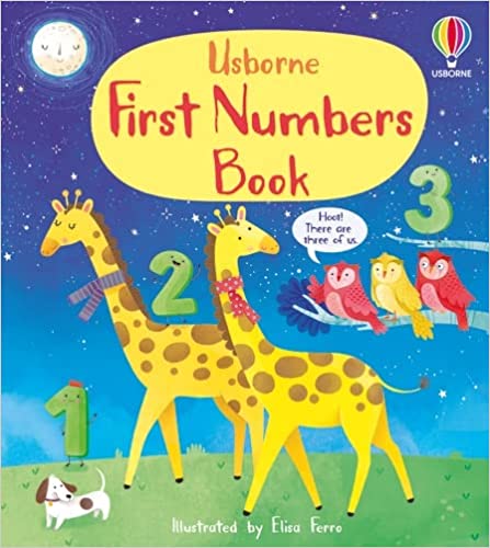 USBORNE : FIRST NUMBERS BOOK HC BBK