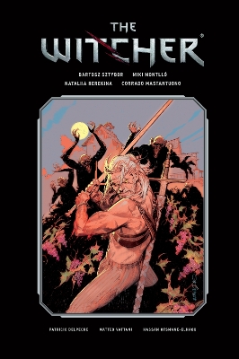 Witcher Library Edition Volume 3, The   HC