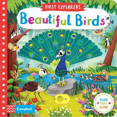 BEAUTIFUL BIRDS