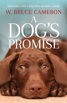 A DOGS PROMISE A DOGS PROMISE