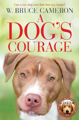 A DOGS COURAGE