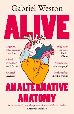 ALIVE : AN ALTERNATIVE ANATOMY PB
