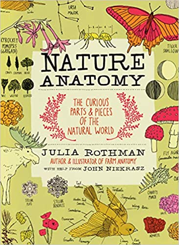 NATURE ANTOMY  PB